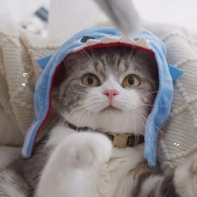 عدنان اکمل avatar