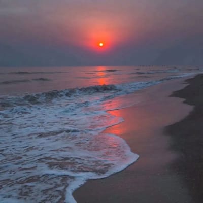 کامران اکمل avatar