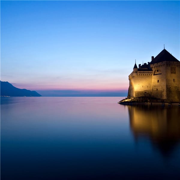 تیمور صلاح الدین avatar