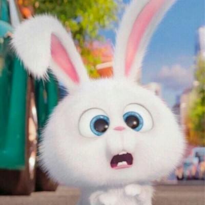 Chaudhry Shujaat profile picture