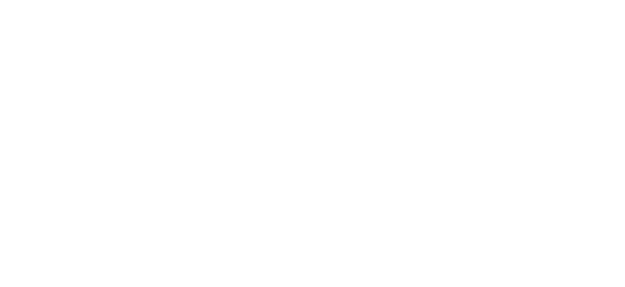 ایوولوشن گیمنگ logo