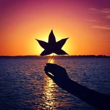 ڈیانا بیگ avatar