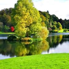 Tuba Hassan profile picture