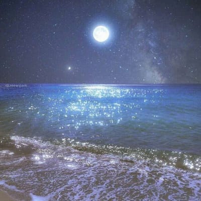 عمر اکمل avatar